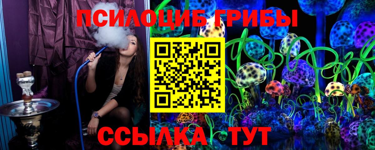 Галлюциногенные грибы Psilocybine cubensis Холмск