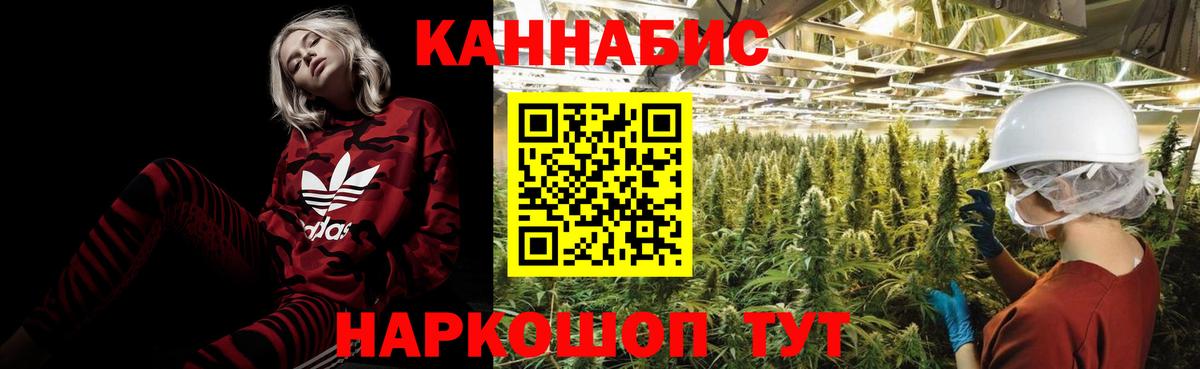 МАРИХУАНА конопля Холмск